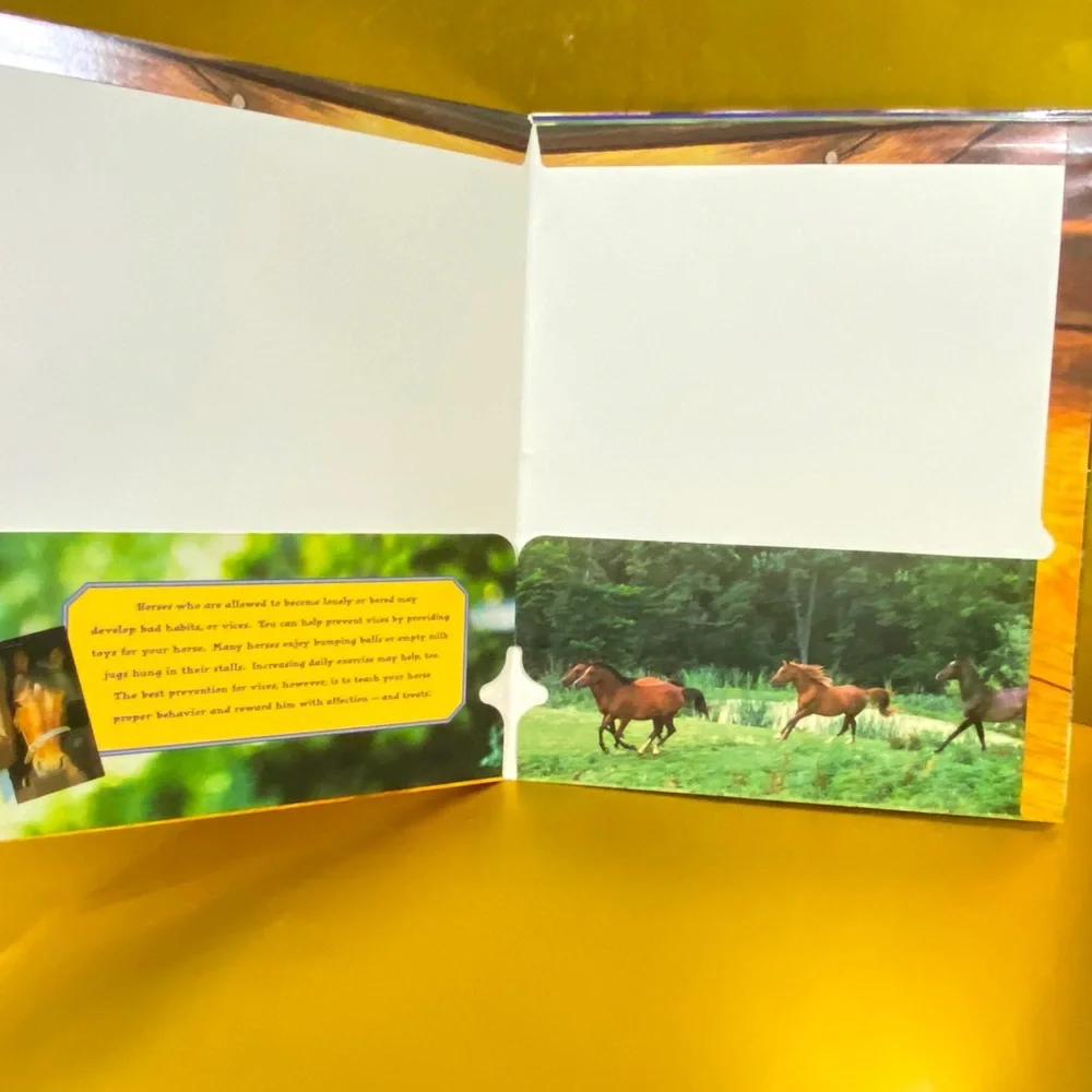 HORSES VINTAGE 90’s PORTFOLIO 3 RING BINDER FOLDERS BUNDLE OF 3 GREAT FOR SCHOOL